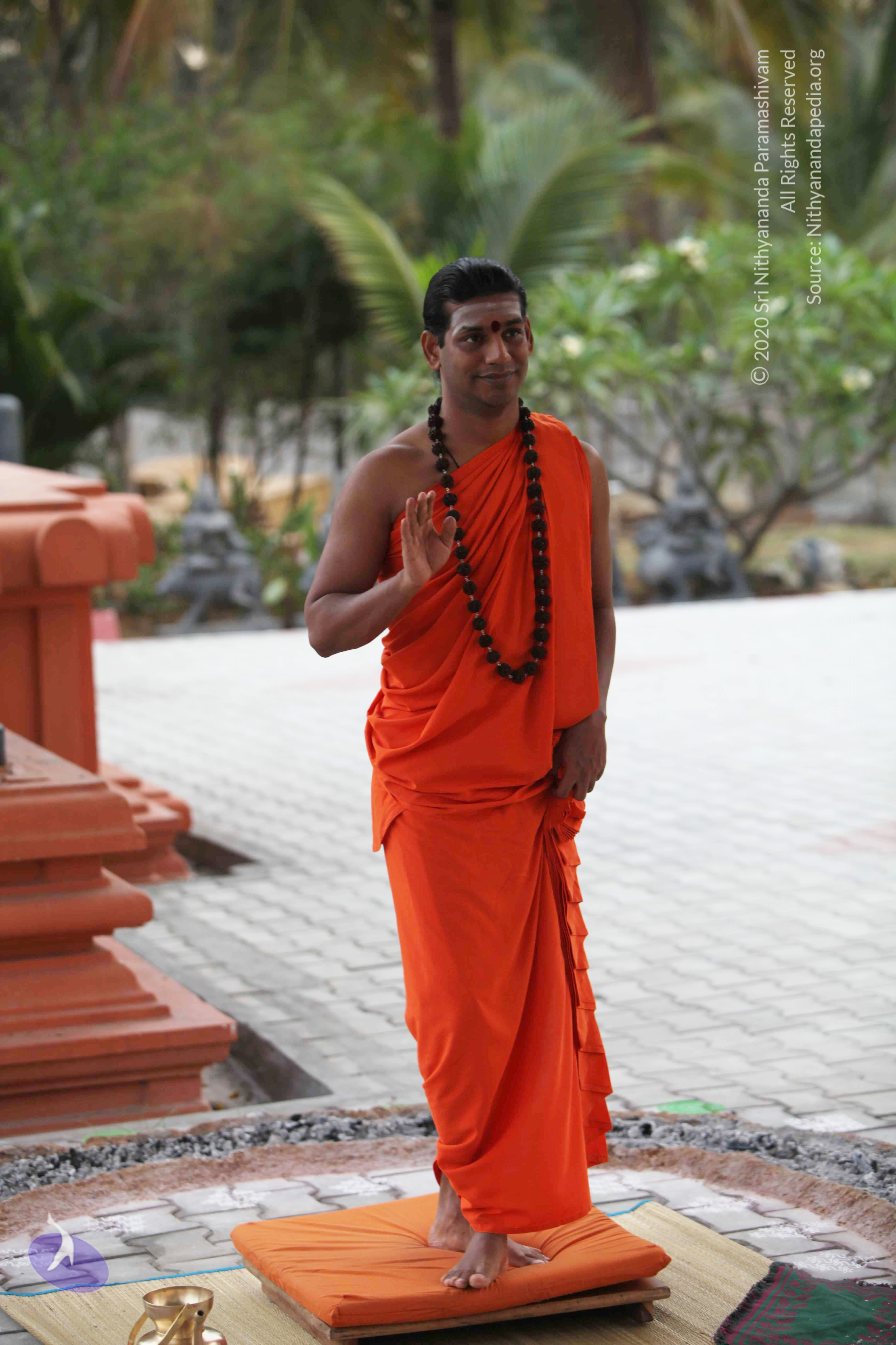 20110225_Photo_1093_IMG_0806_CMP_WM